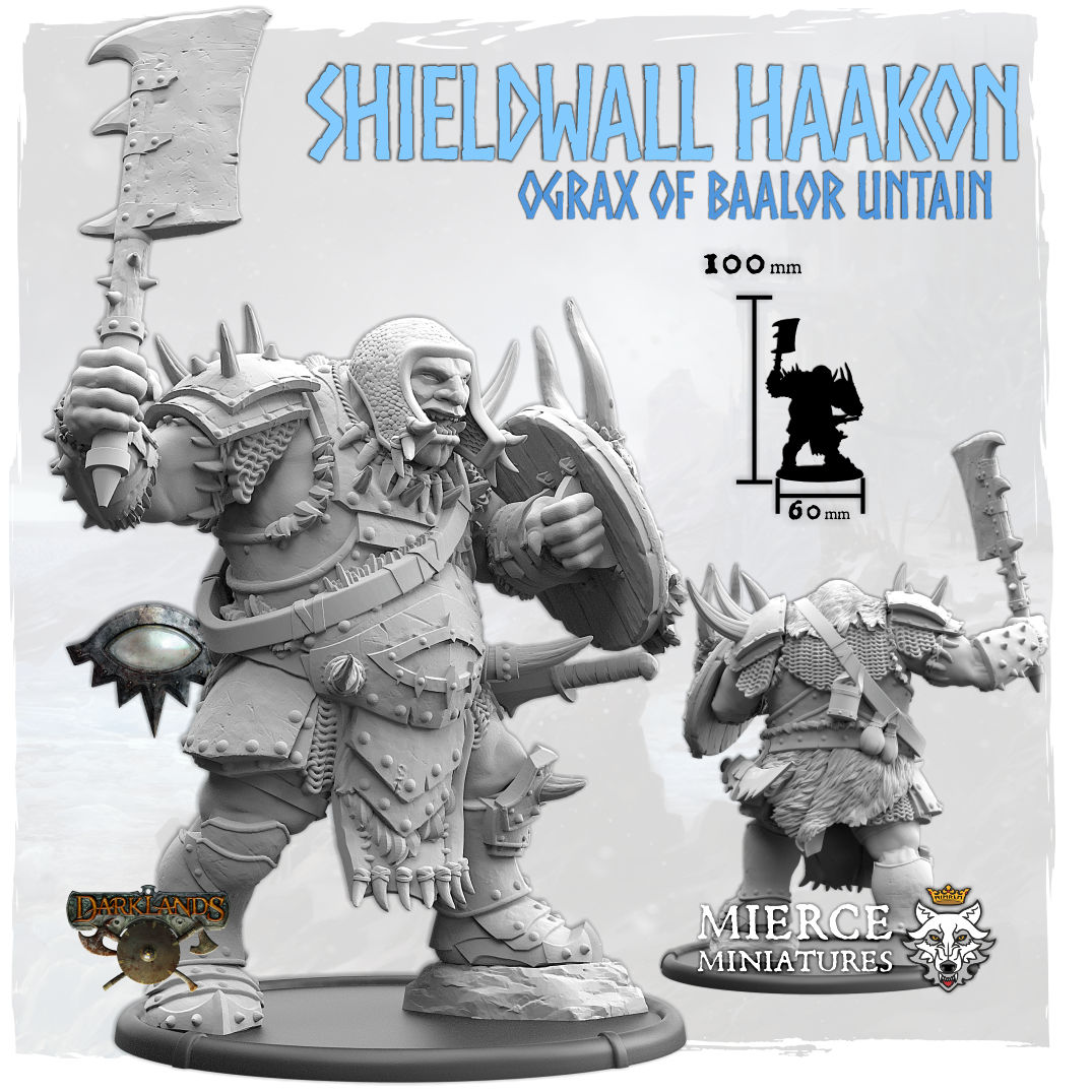 Fomoraic Shieldwall Haakon, Ograx Untain on Foot